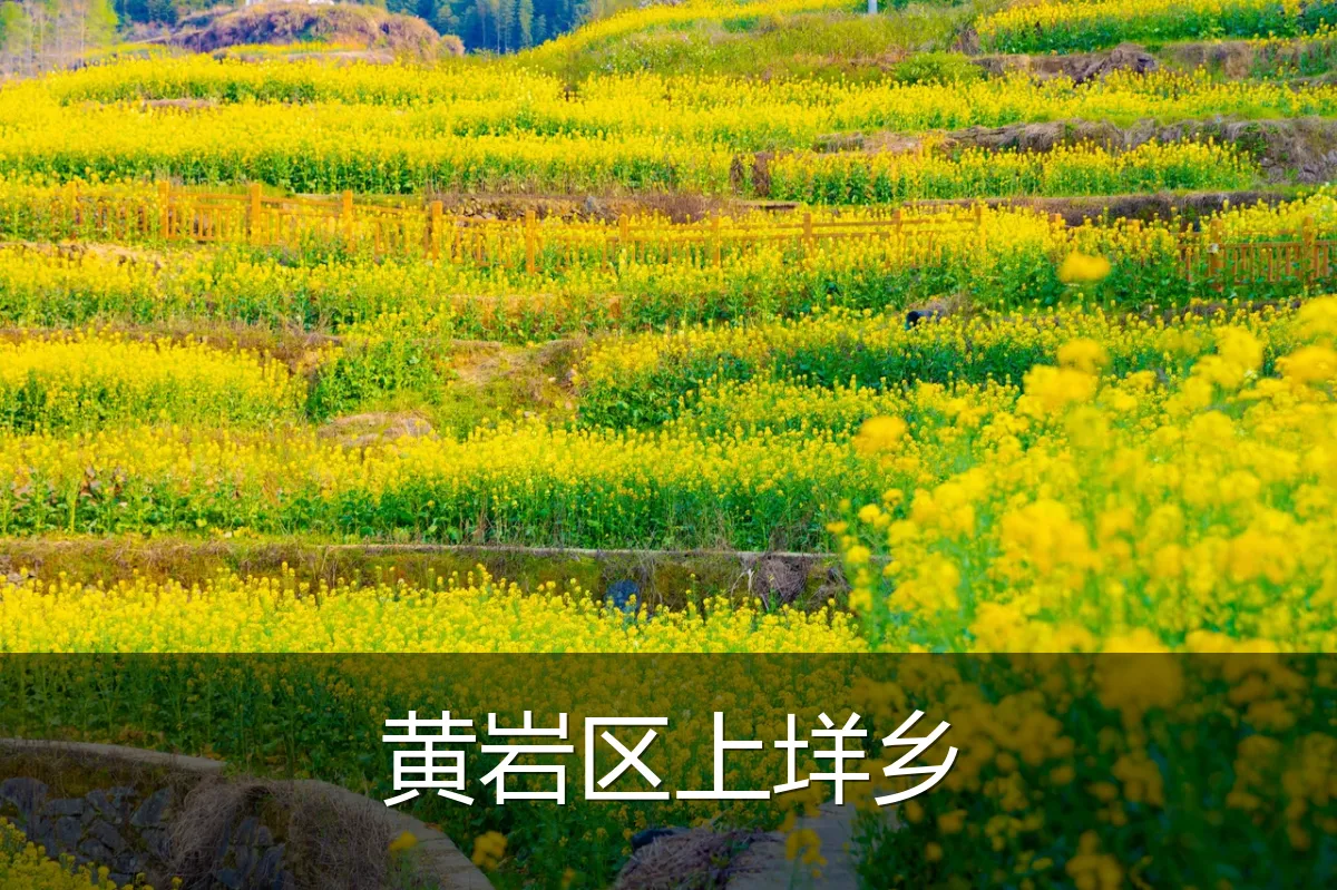 黄岩区上垟乡